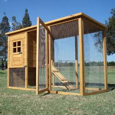 construire-un-poulailler-1.jpg